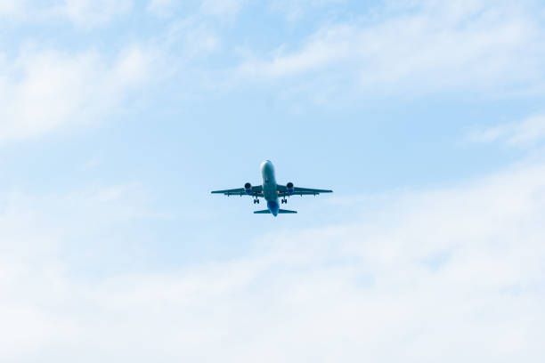 istock Airplane in the sky. 1440254712