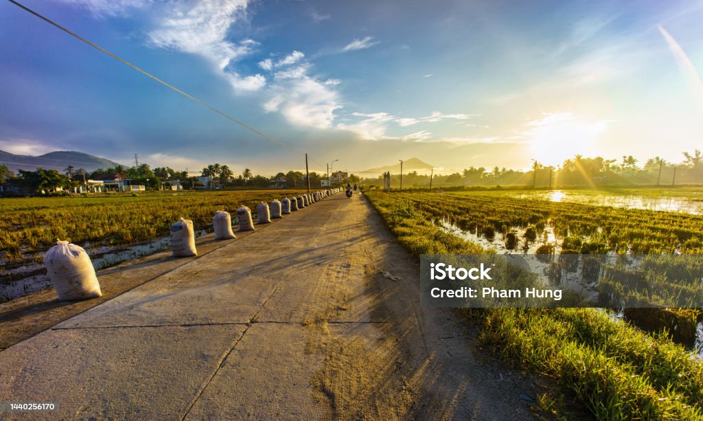 Sunrise on the rice paddy field after harvest date Sunrise on the rice paddy field after harvest date, Dien Khanh district, Khanh Hoa province, central Vietnam Vietnam Stock Photo