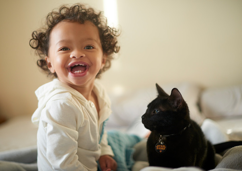Love, cat and baby being happy, playful and smile on bed at home have fun, laugh and Toddler, kid and pet animal being in bedroom, cozy and loving for bonding, joy and relax and playing together.