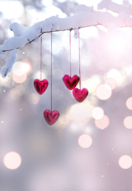 Red hearts on snowy tree branch in winter. Holidays happy valentines day. Love concept. Red hearts on snowy tree branch in winter. Holidays. Happy valentines day celebration. Heart love concept. february stock pictures, royalty-free photos & images