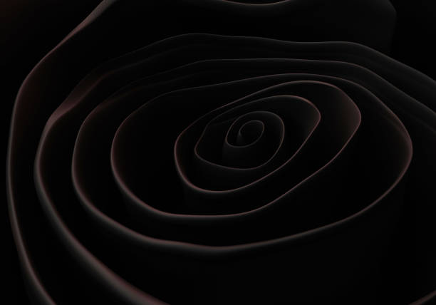 black rose close up, flower black background, 3d render
