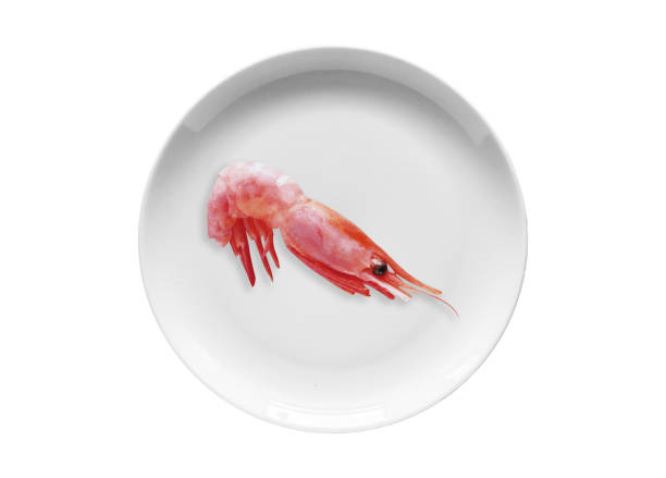 Cooked Prawn or Tiger Shrimp in White Plate
