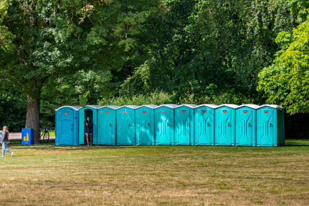 longue rangée de toilettes portatives dans un parc.. - porta potty photos et images de collection