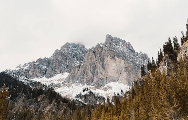 istock Beautiful forest on a hill with high rocky snowy mountains 1440263859