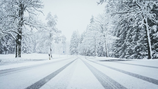 A wide shot of a road fully covered by snow with pine trees on both sides and car traces