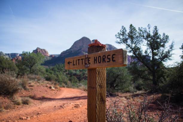 istock Little Horse Trail Arizona 1440264685