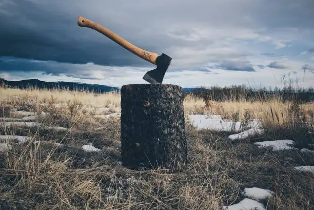 A wooden-handled sharp axe stuck in a wooden stump in the middle of a dry grass field under the cloudy sky