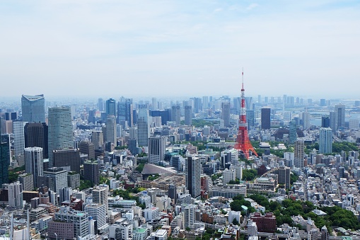 An aerial shot of a beautiful skyline of Tokyo, Japan