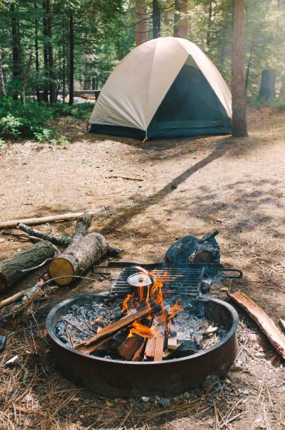 istock Bonfire and a camp in a forest set by hikers 1440265845