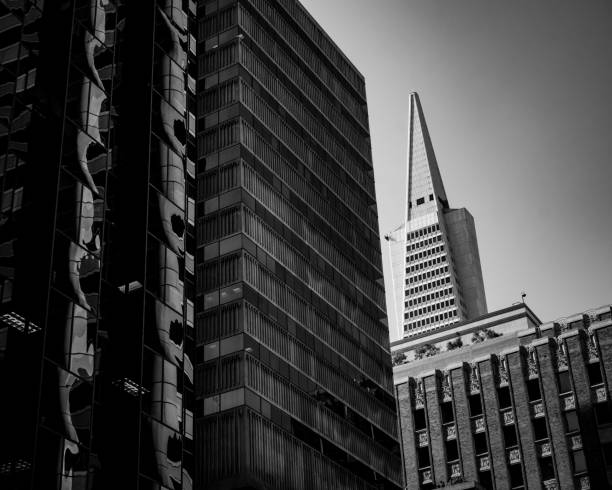 A beautiful urban architecture shot in black and white