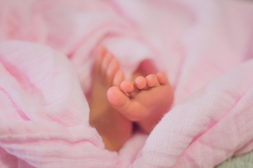 young family of mother of the father and kid. Mother and the father hold legs of the newborn child in the palms.