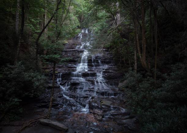 istock Beautiful view of a waterfall flowing down in a forest 1440266328