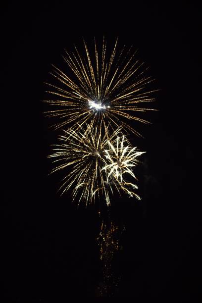 istock Vertical shot of fireworks at night 1440267437