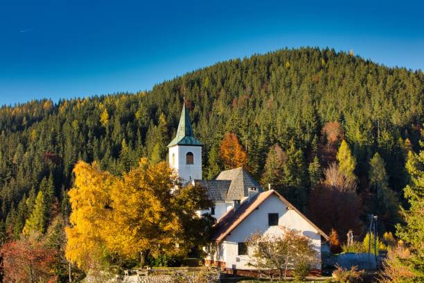 istock Cathedral in a forest on a sunny day 1440268158