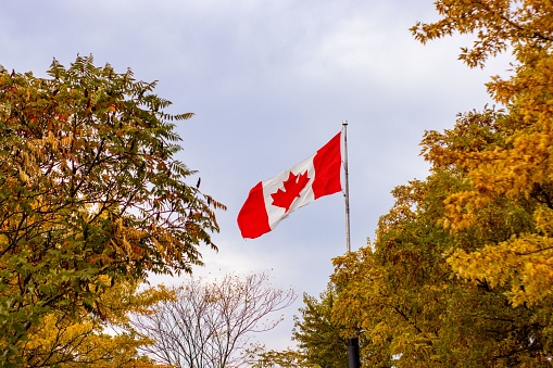 The Canadian flag on a pole surrounded by trees in autumn