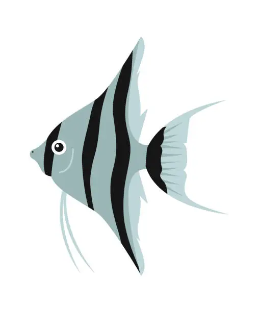 Vector illustration of Scalar aquarium fish. Vector illustration