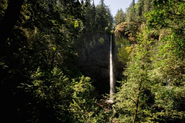 istock Horizontal image of a waterfall in a forest in summer around Corbett, Oregon 1440269834