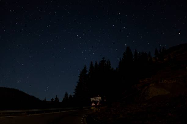 istock Low angle shot of a dark blue starry night sky over a forest 1440270020