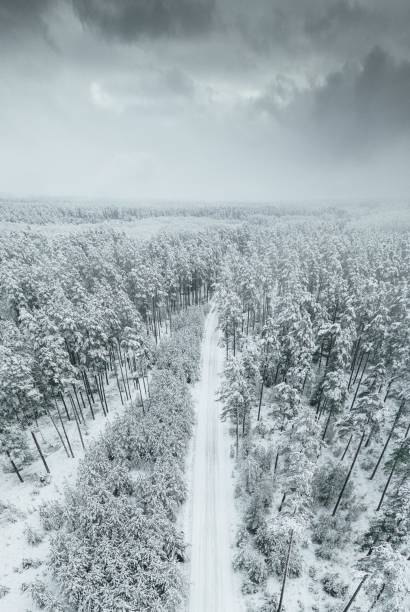 point de vue drone sur les arbres forestiers couverts de neige, paysage hivernal gelé - multicopter point of view photos et images de collection