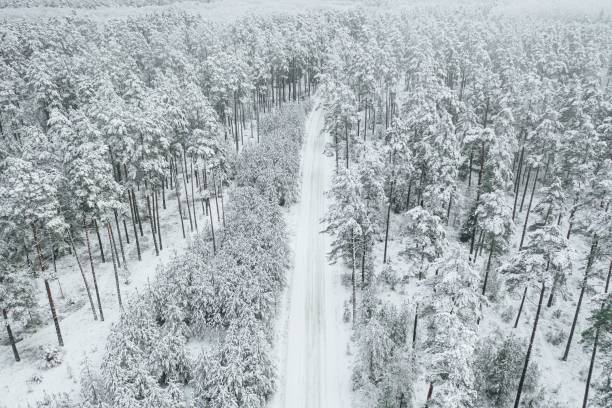 point de vue drone sur les arbres forestiers couverts de neige, paysage hivernal gelé - multicopter point of view photos et images de collection