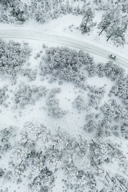 point de vue drone sur les arbres forestiers couverts de neige, paysage hivernal gelé - multicopter point of view photos et images de collection