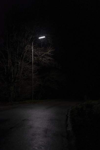 istock A dark park with a single night lamp 1440271886
