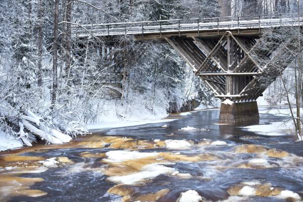 istock Long exposure shot of a river streaming beneath a bridge located in a forest 1440272236