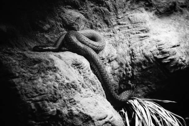Partial details of the scales of the Kylin stone carving