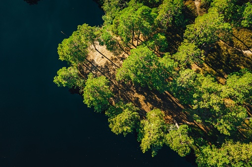 An aerial shot of a calm lake island surrounded by trees