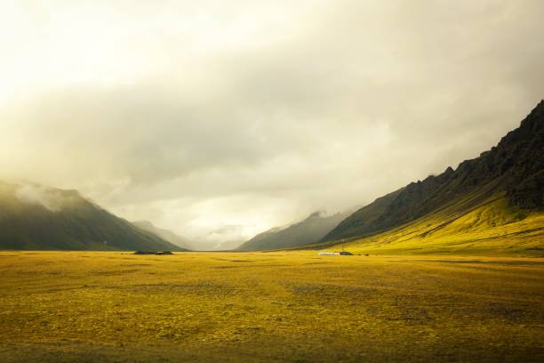 istock Beautiful golden field with amazing cloudy background 1440272566