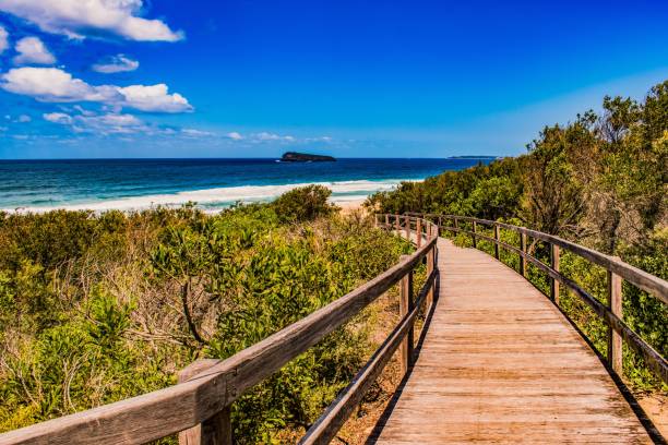istock Low angle shot of a pathway leading to the beach for relaxation time 1440272602