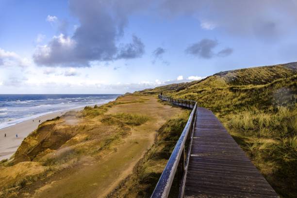 strada di legno sulla scogliera rossa vicino alla spiaggia di sylt, germania - warmes licht foto e immagini stock