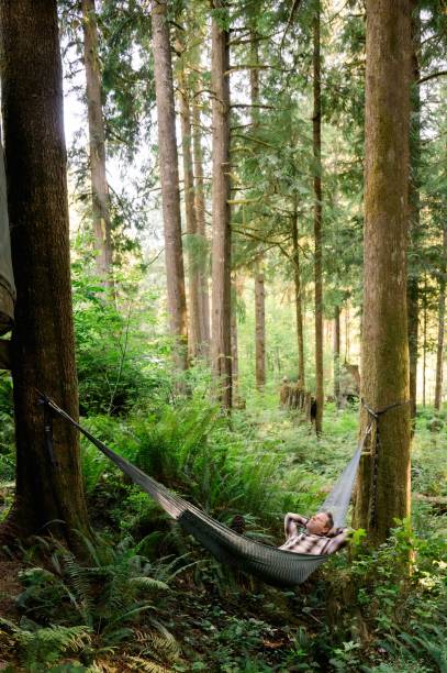 istock Man lying on the hammock in Corbett, Oregon 1440273448