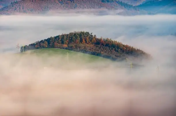 Photo of Beautiful shot of a high hill with a lot of trees enveloped in breathtaking clouds