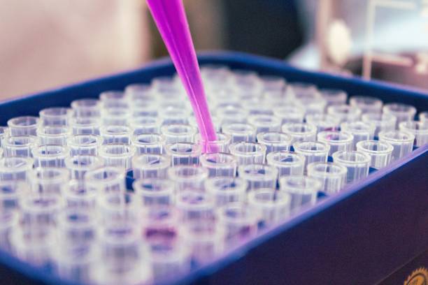 istock High angle shot of a laboratory assistant adding purple liquid in test tubes 1440274551