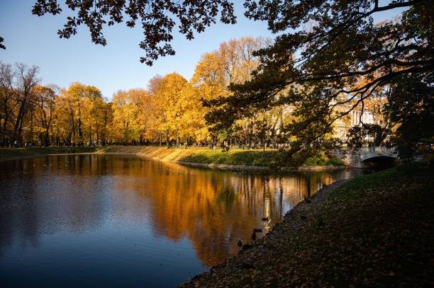 istock Park with a small lake surrounded by yellow trees with sunlight on them 1440275267