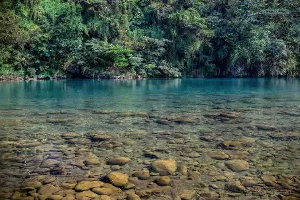 Photo of Beautiful shot of a lake near green plantations in Pinglin Village, Taiwan