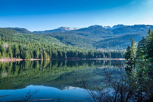 Clear blue skies, mountains, forest and lake