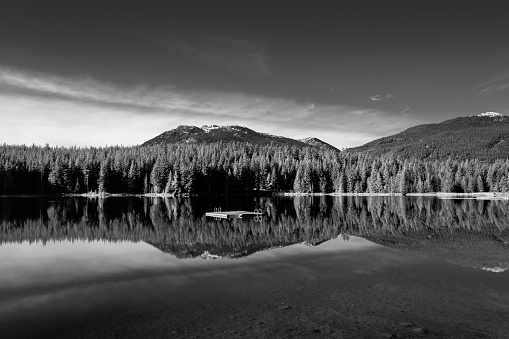 A grayscale shot of a beautiful scenery reflecting in the Lost Lake, Whistler, BC Canada