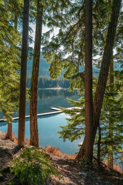 foto vertical da bela paisagem do lago perdido, whistler, bc canadá - lost beach - fotografias e filmes do acervo