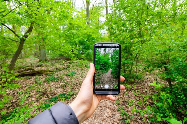 istock Person holding a smartphone and capturing the trees in a forest 1440276639