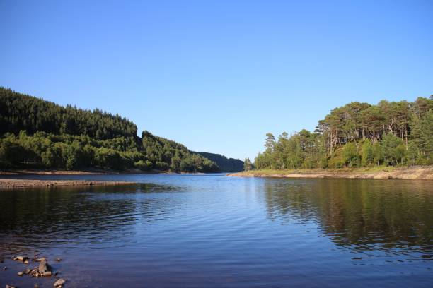 istock Sunny day at the lake with a cloudy blue sky 1440277228
