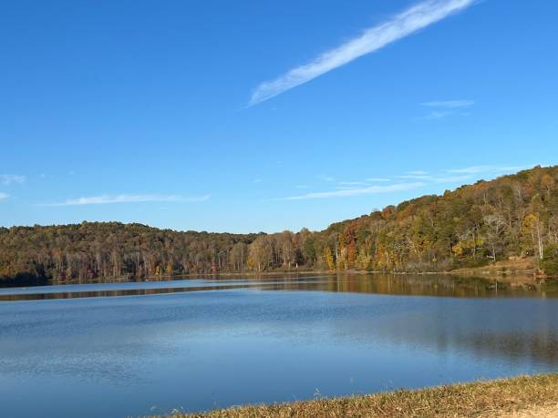 istock Sunny day at the lake with a cloudy blue sky 1440277232