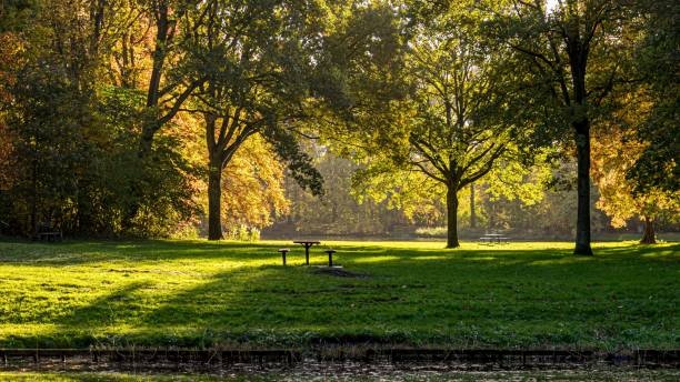 istock November morning autumn light in the park 1440277497