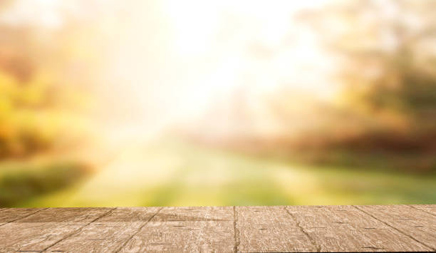 istock Oak wood podium isolated on blur background and copy space. 1440278958