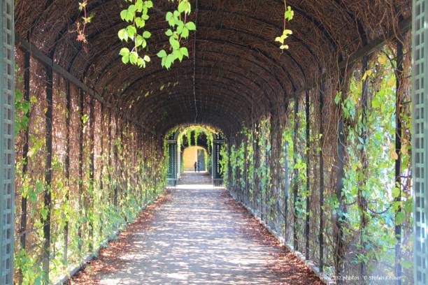 istock Beautiful isle covered by green plants during daytime 1440279099