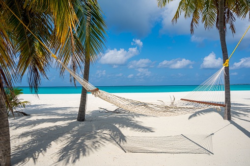 Lonely hammock at dreamy white beach between palm trees located on an island in the Maledives.