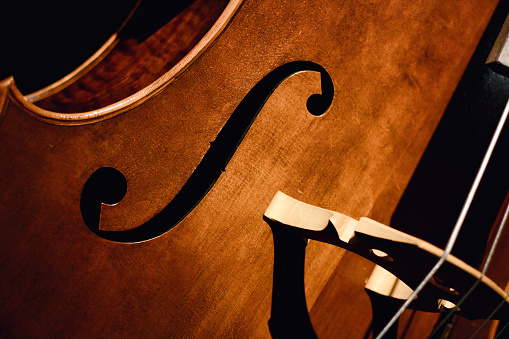Close-up of f-hole and bridge of a cello musical instrument