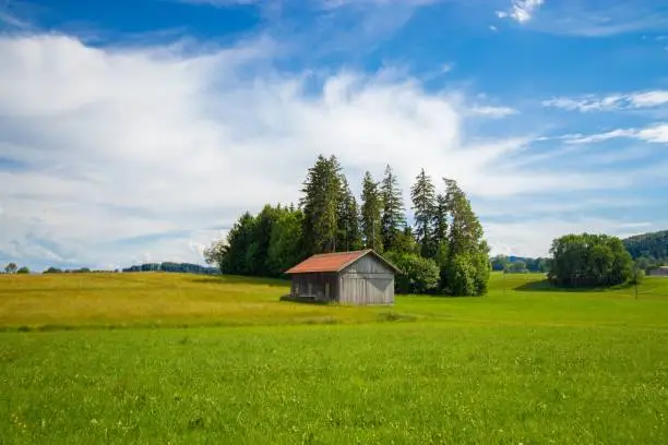 a lonly cabin in the Allgaeu, Germany. the cabin is centered inbetween trees and a field.