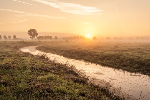 A breathtaking shot of a Dutch polder in a field and the rising sun in the background